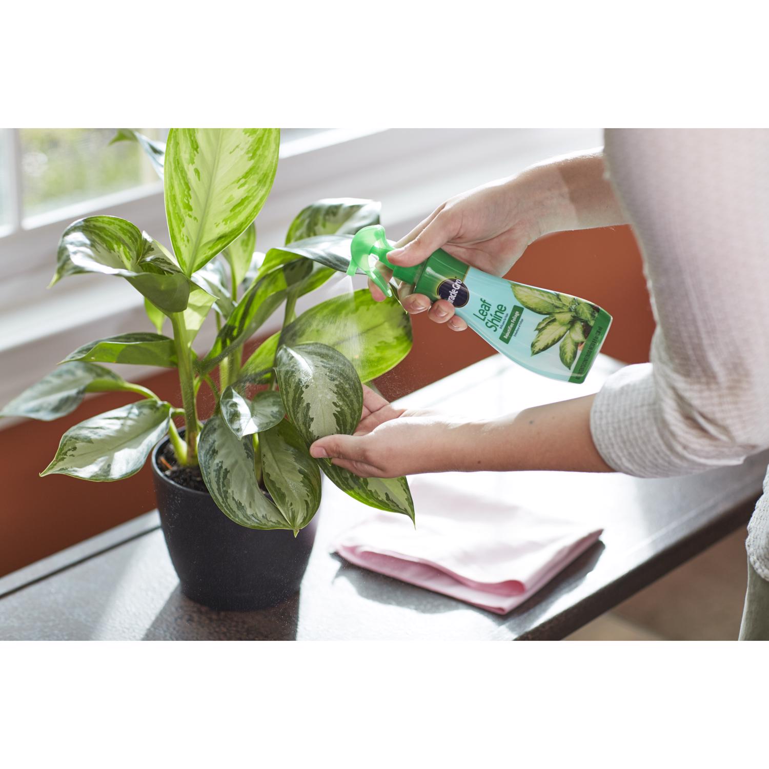 Miracle-Gro Liquid Plant Shine 8 oz