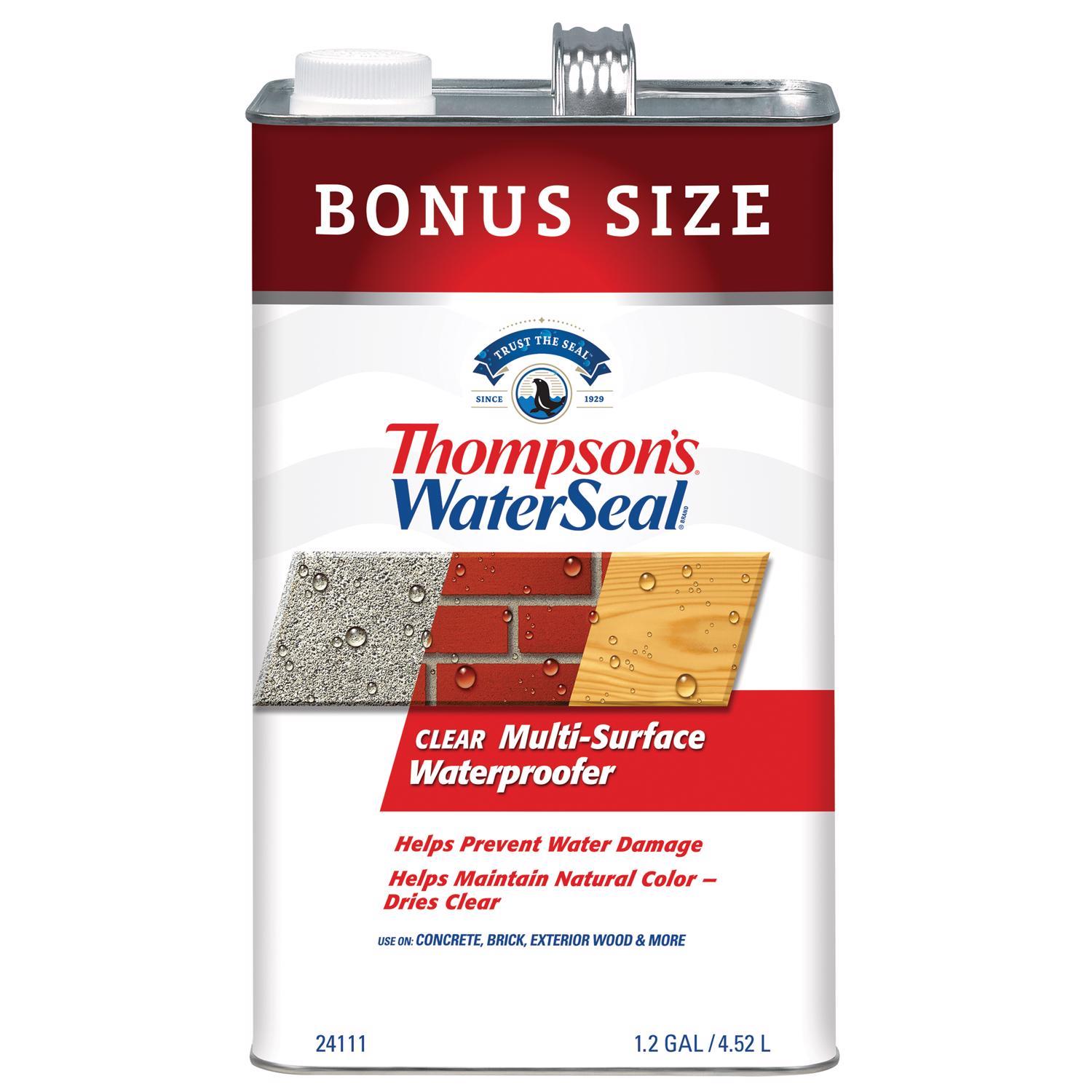 Thompson's WaterSeal Flat Clear Fully-Transparent Multi-Surface Waterproofer 1.2 gal