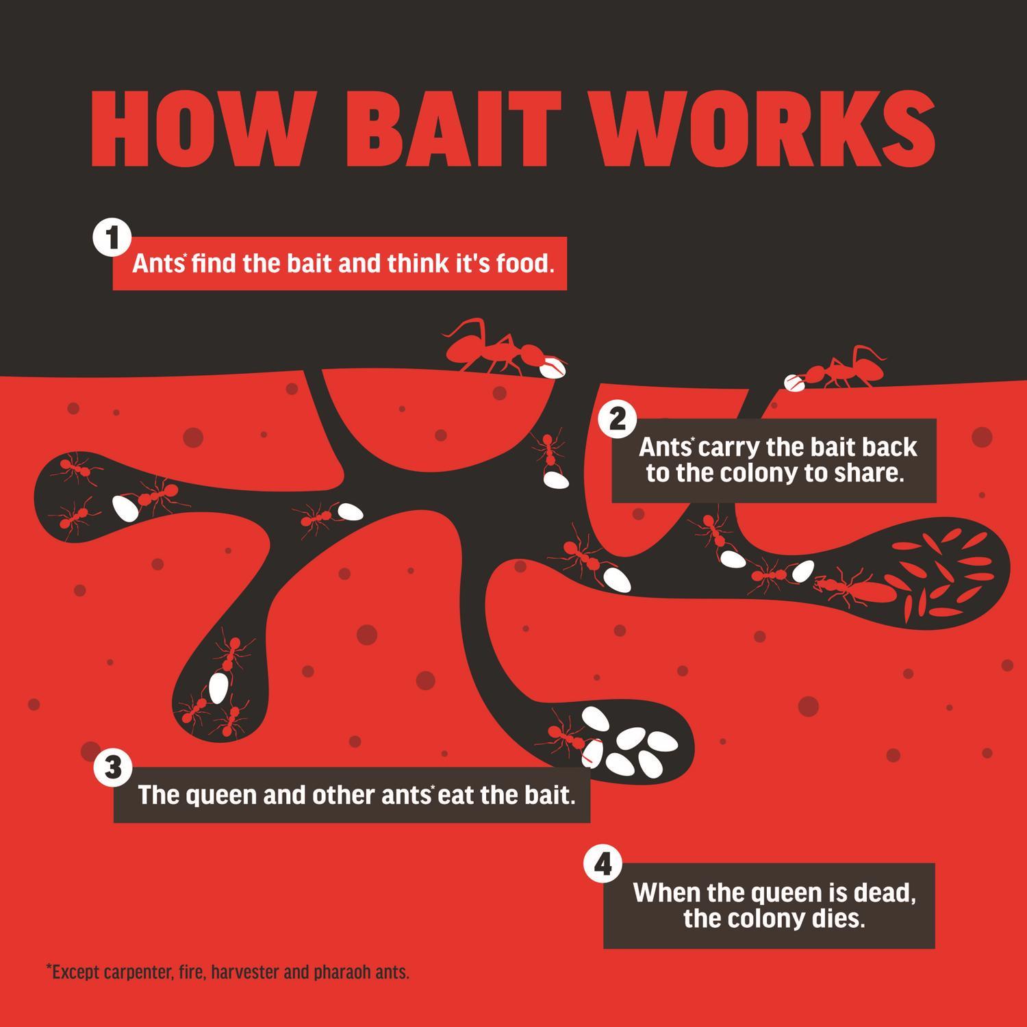 Amdro Ant Block Insect Killer 24 oz