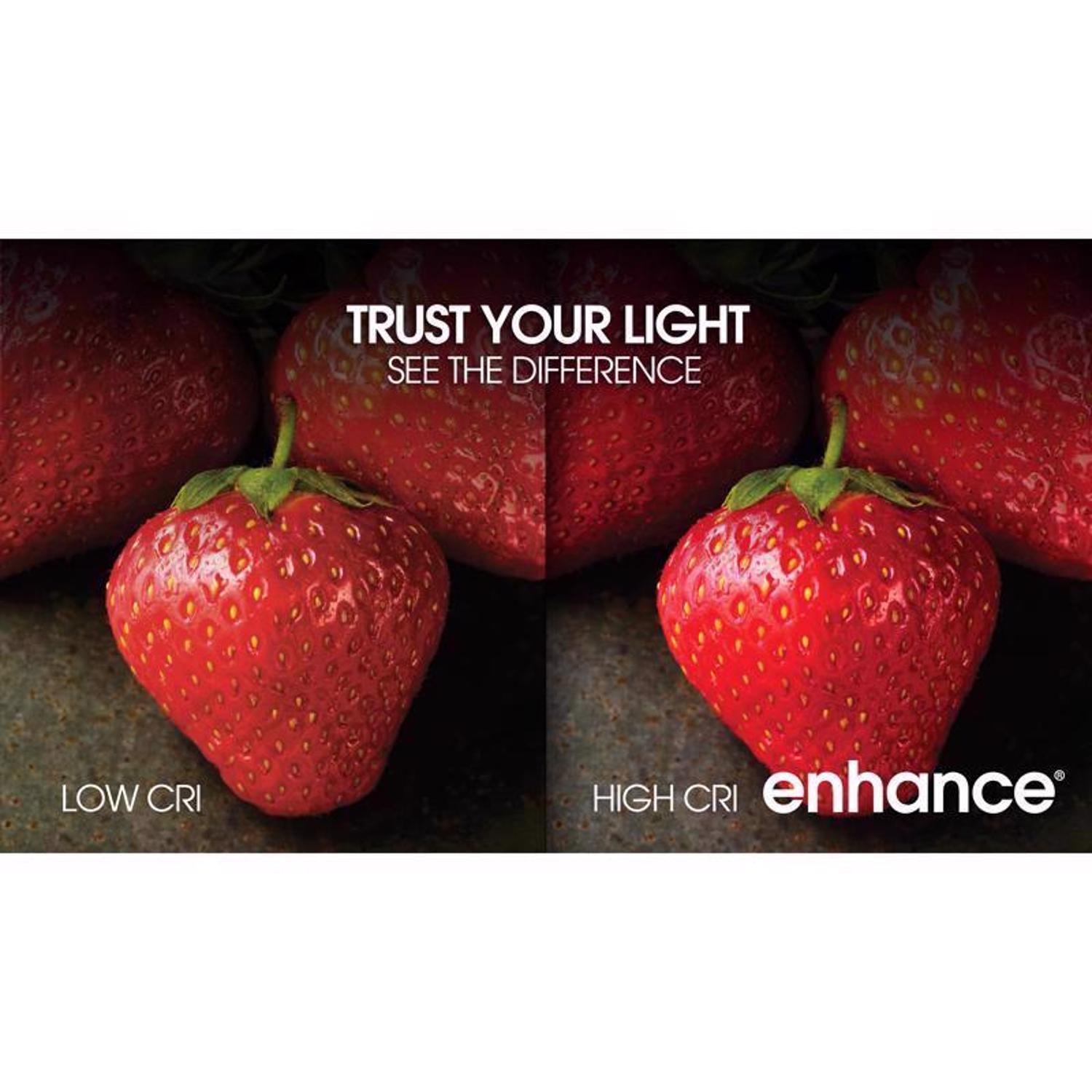 Feit Enhance A15 E12 (Candelabra) Filament LED Bulb Daylight 60 Watt Equivalence 2 pk