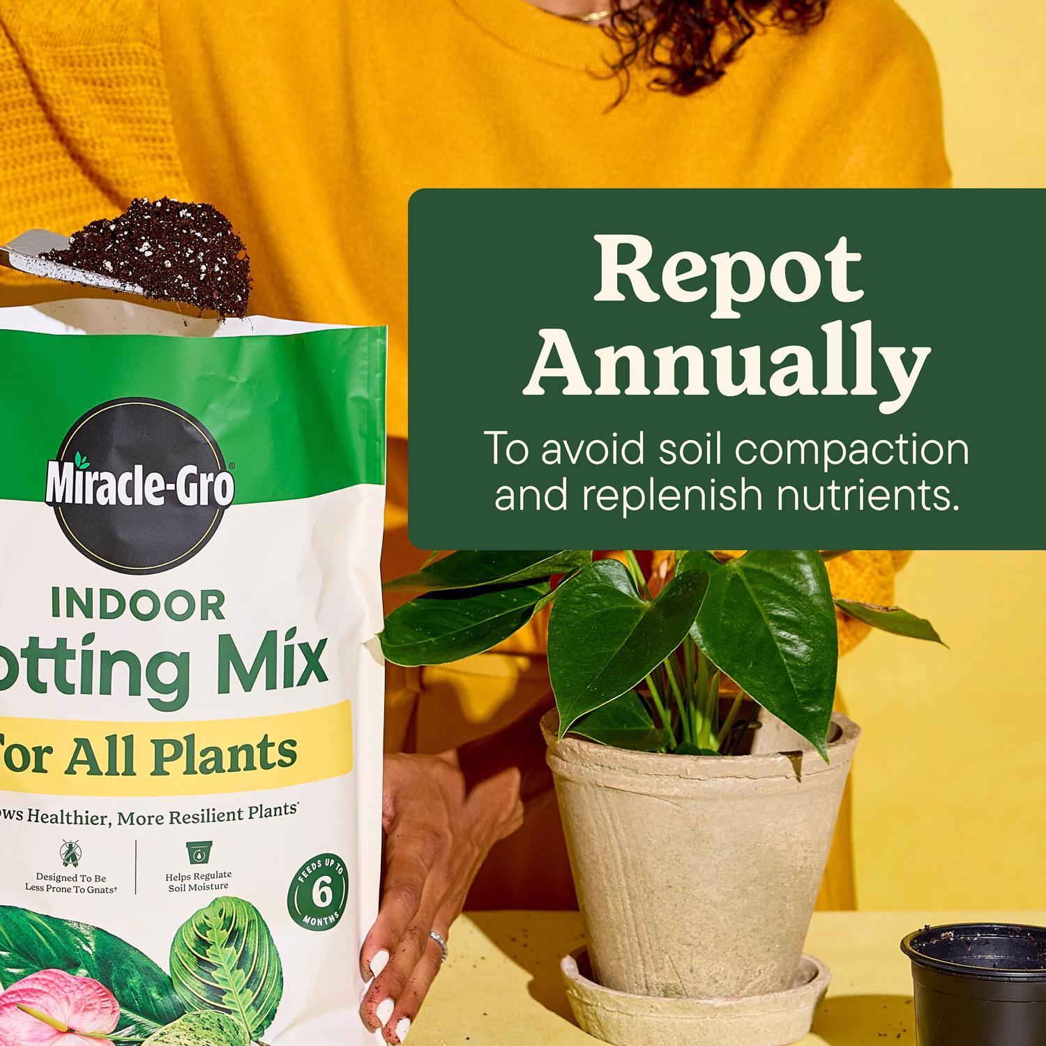 Miracle-Gro Indoor Plant Potting Soil 6 qt