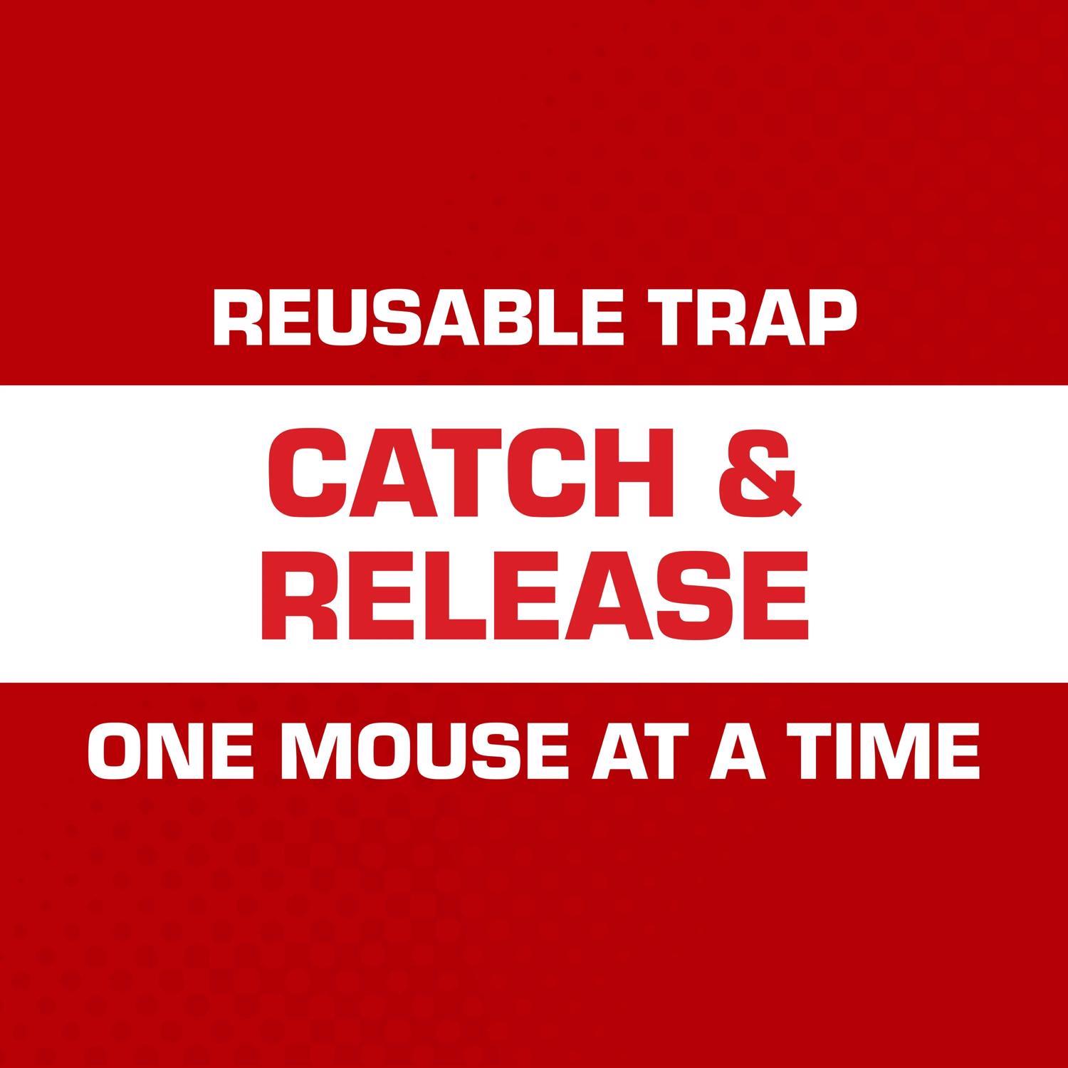 Tomcat Small Live Catch Trap For Mice 1 pk