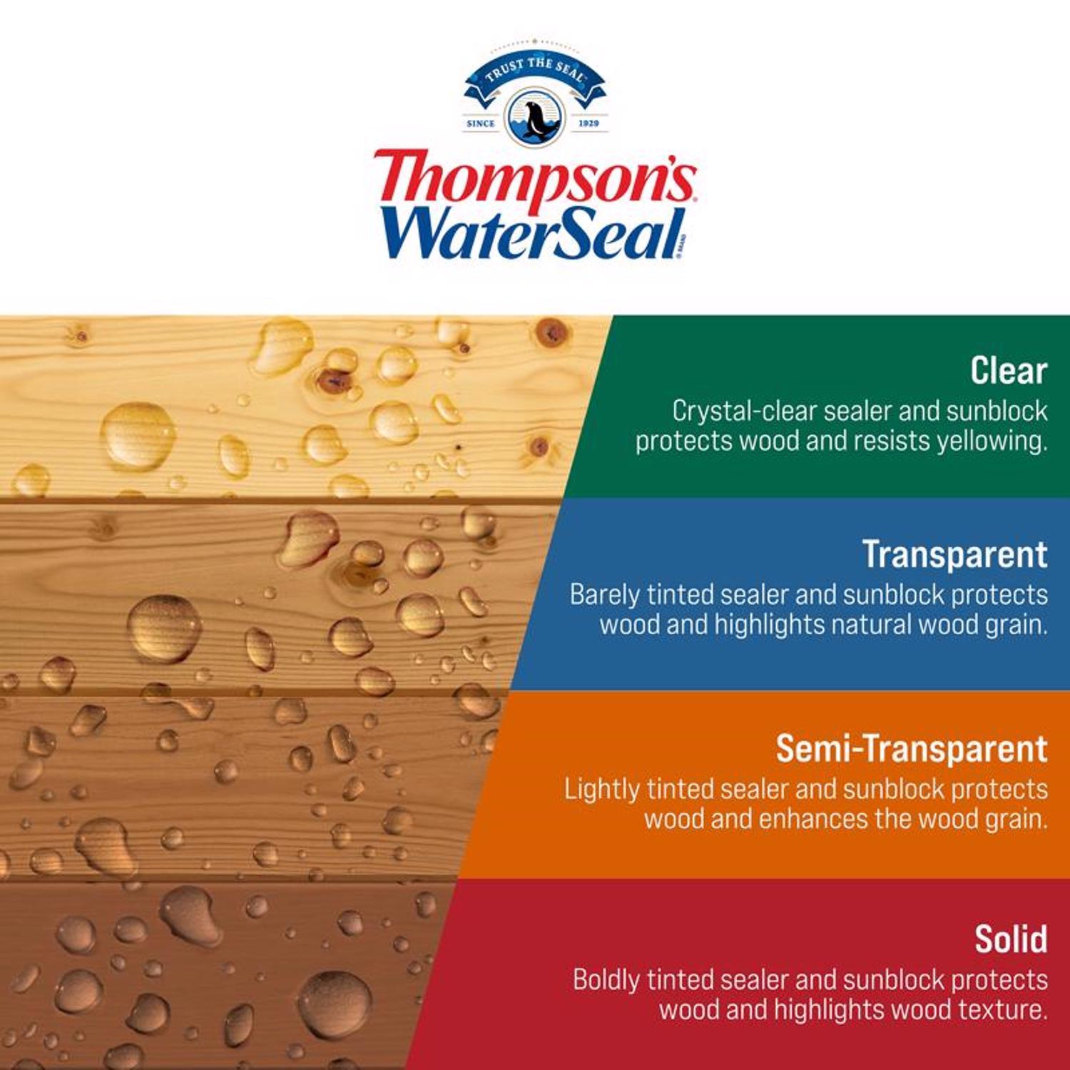 Thompson's WaterSeal Wood Sealer Solid Sedona Red Waterproofing Wood Sealer 1 gal