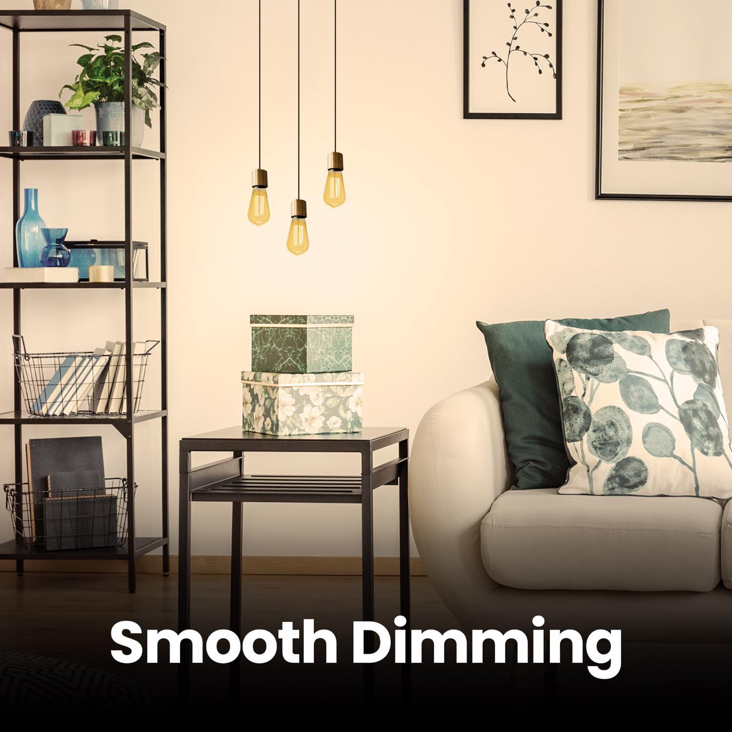 Feit ST19 E26 (Medium) Filament LED Bulb Warm White 40 Watt Equivalence 2 pk