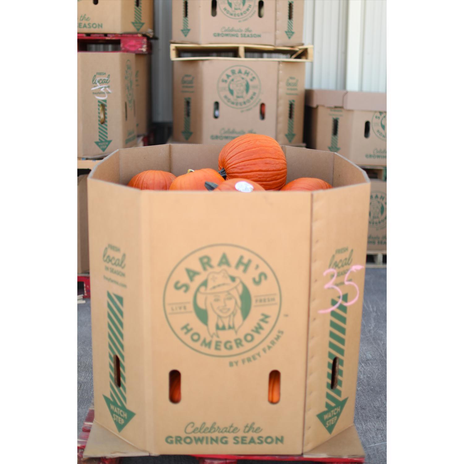 Frey Farms Sarah's Home Grown Orange Pumpkin