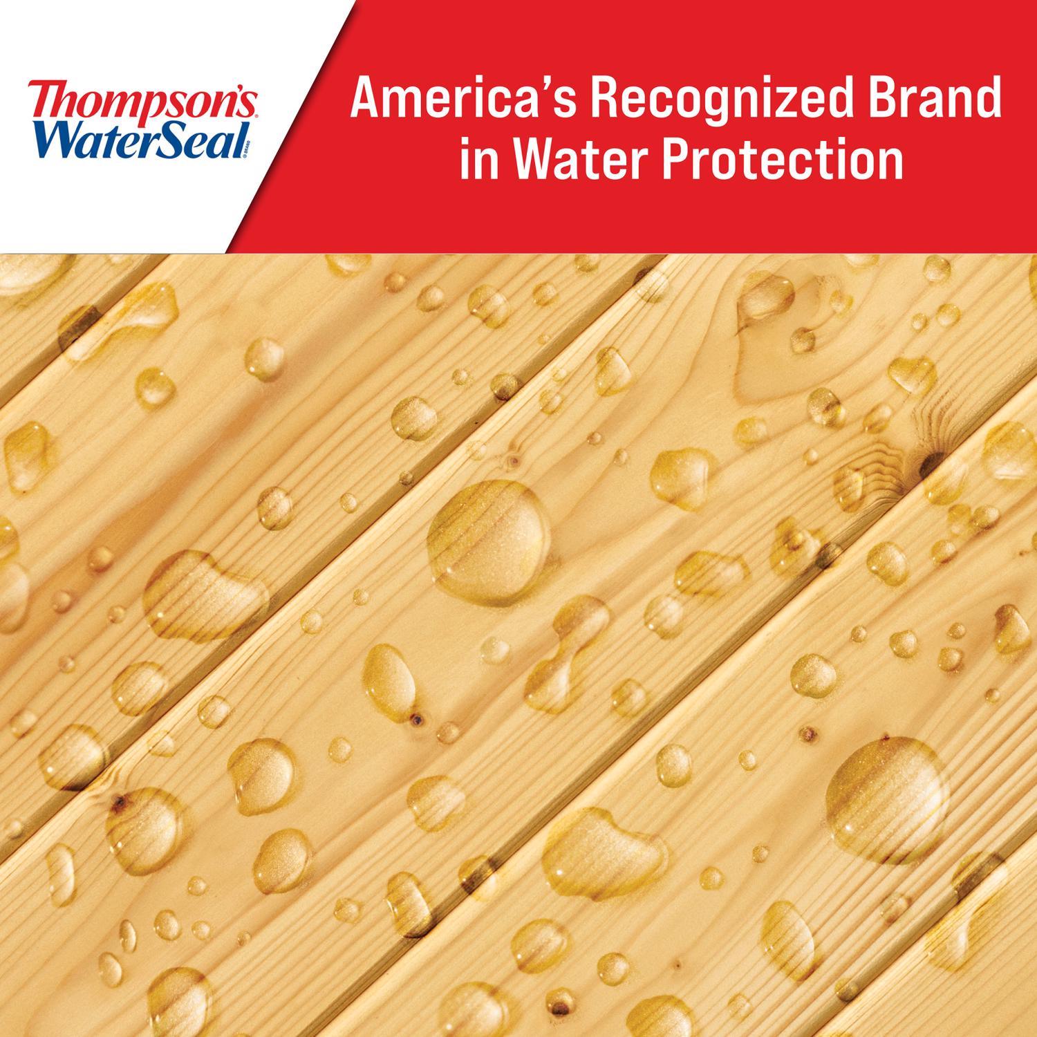 Thompson's WaterSeal Clear Fully-Transparent Water-Based Multi-Surface Waterproofer 1 qt