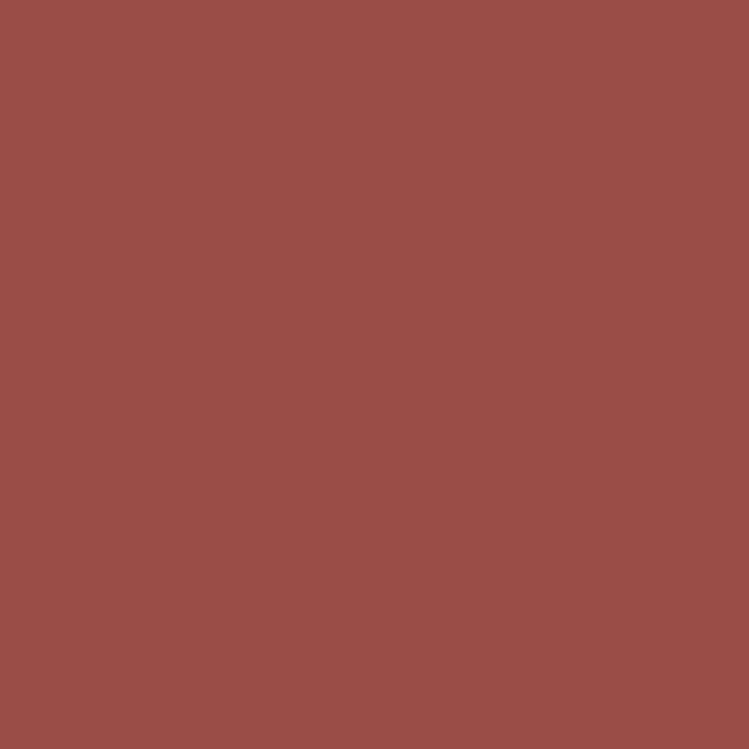 Ace Premium Smooth Red Oxide Paint + Primer Enamel Spray 12 oz