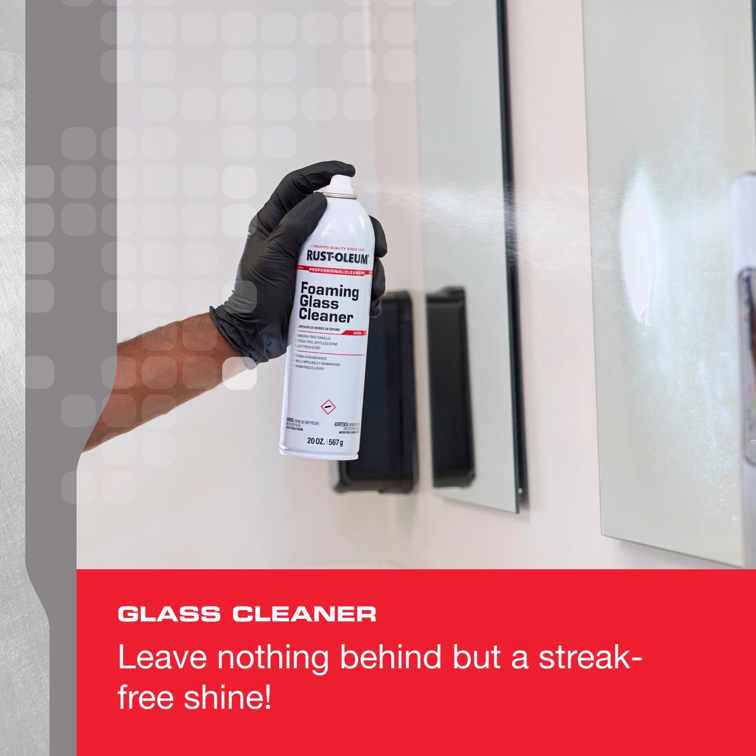 Rust-Oleum Professional Cleaners No Scent Glass Cleaner 20 oz Foam
