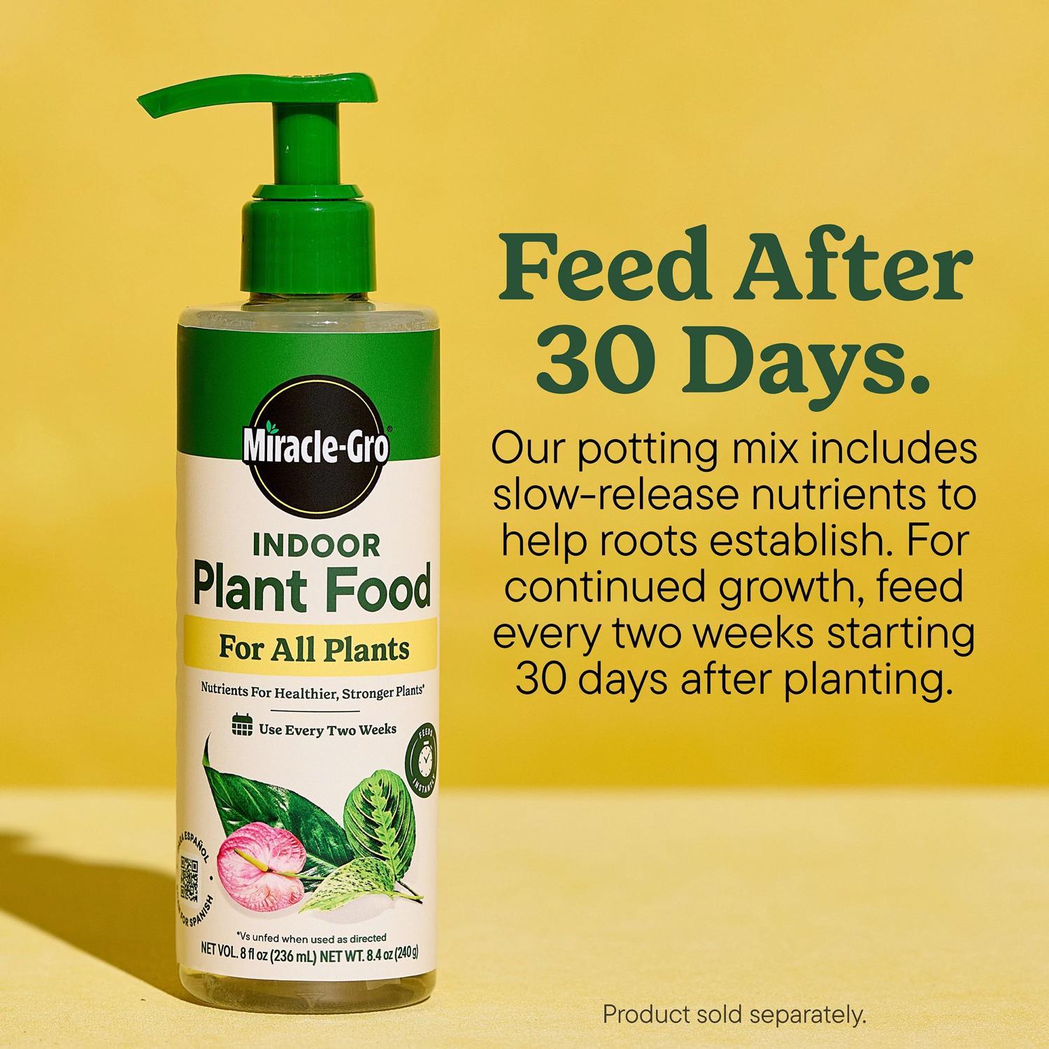 Miracle-Gro Indoor Plant Potting Soil 6 qt