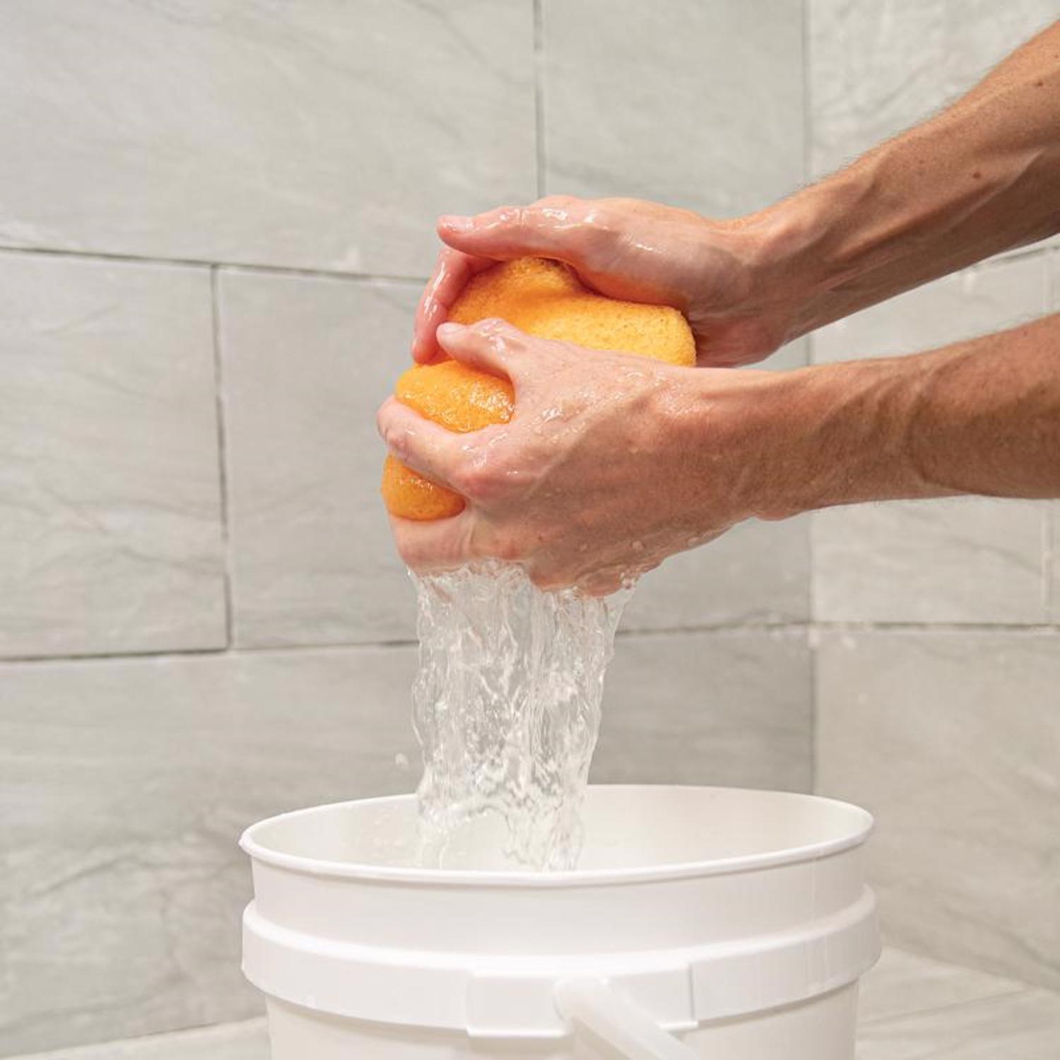 QEP No Scent Grout Cleaner 1 ct Sponge