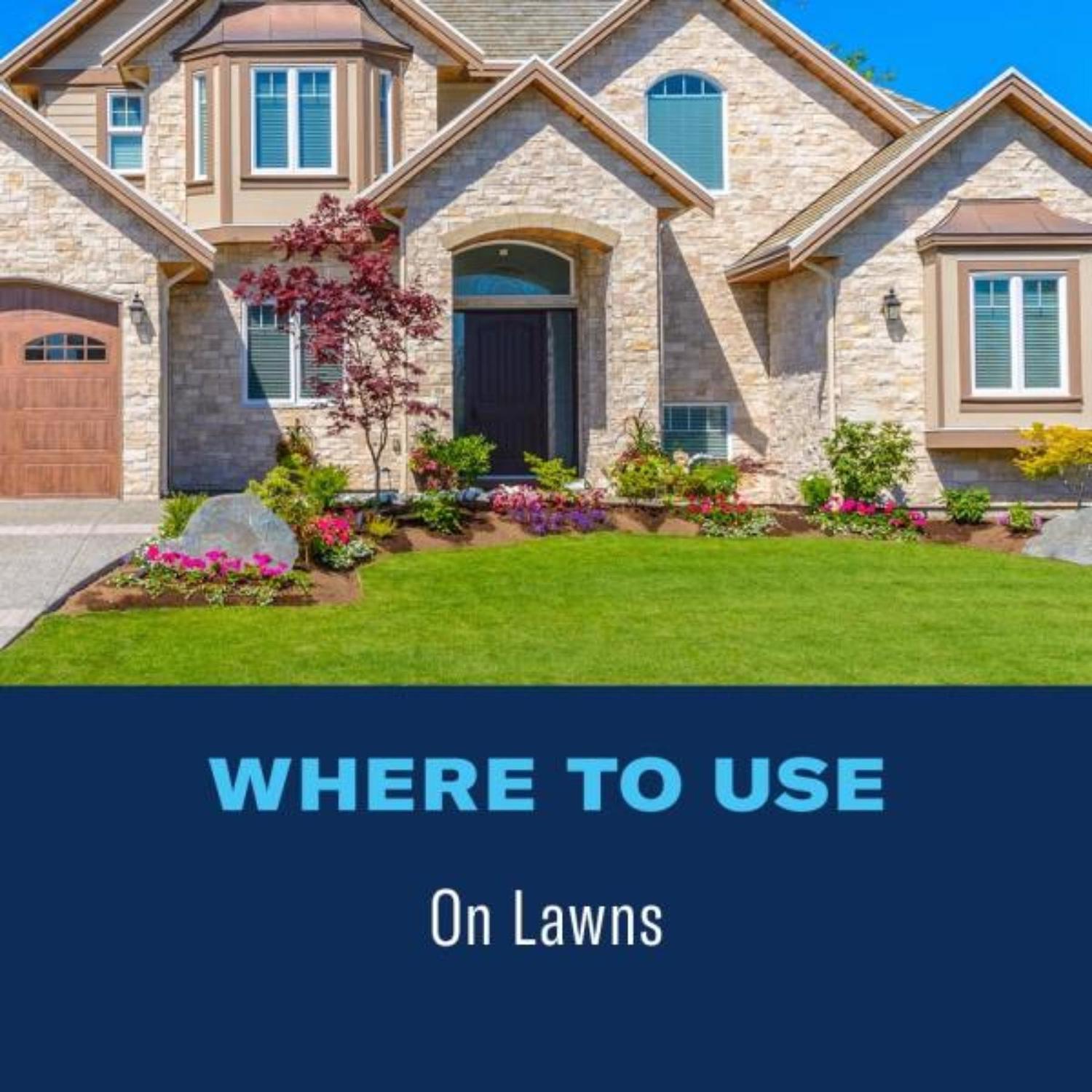 BioAdvanced Granules Fungus Control for Lawns 10 lb