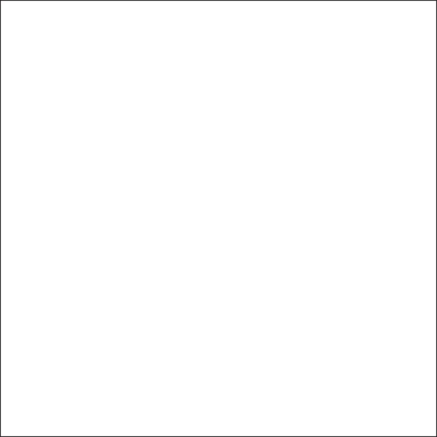 GE Window & Door White Silicone 1 Window and Door Caulk Sealant 10.1 oz