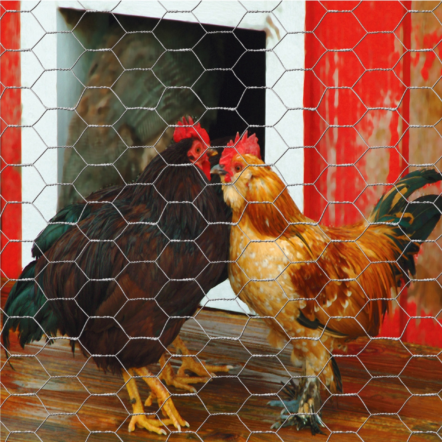Garden Craft 36in. H x 50in. L Galvanized Steel Poultry Netting 1in.