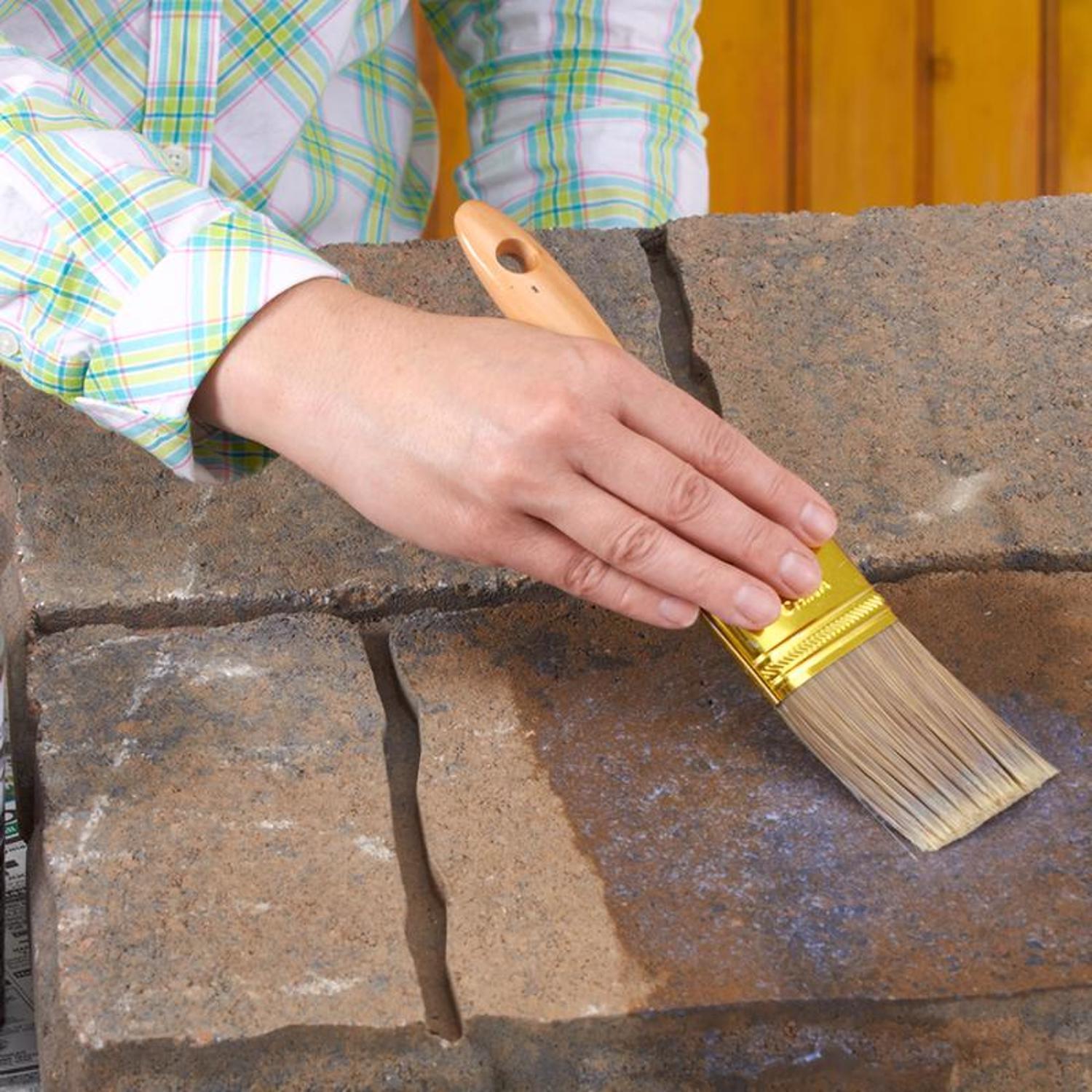 Drylok Clear Latex Concrete Protector 1 gal