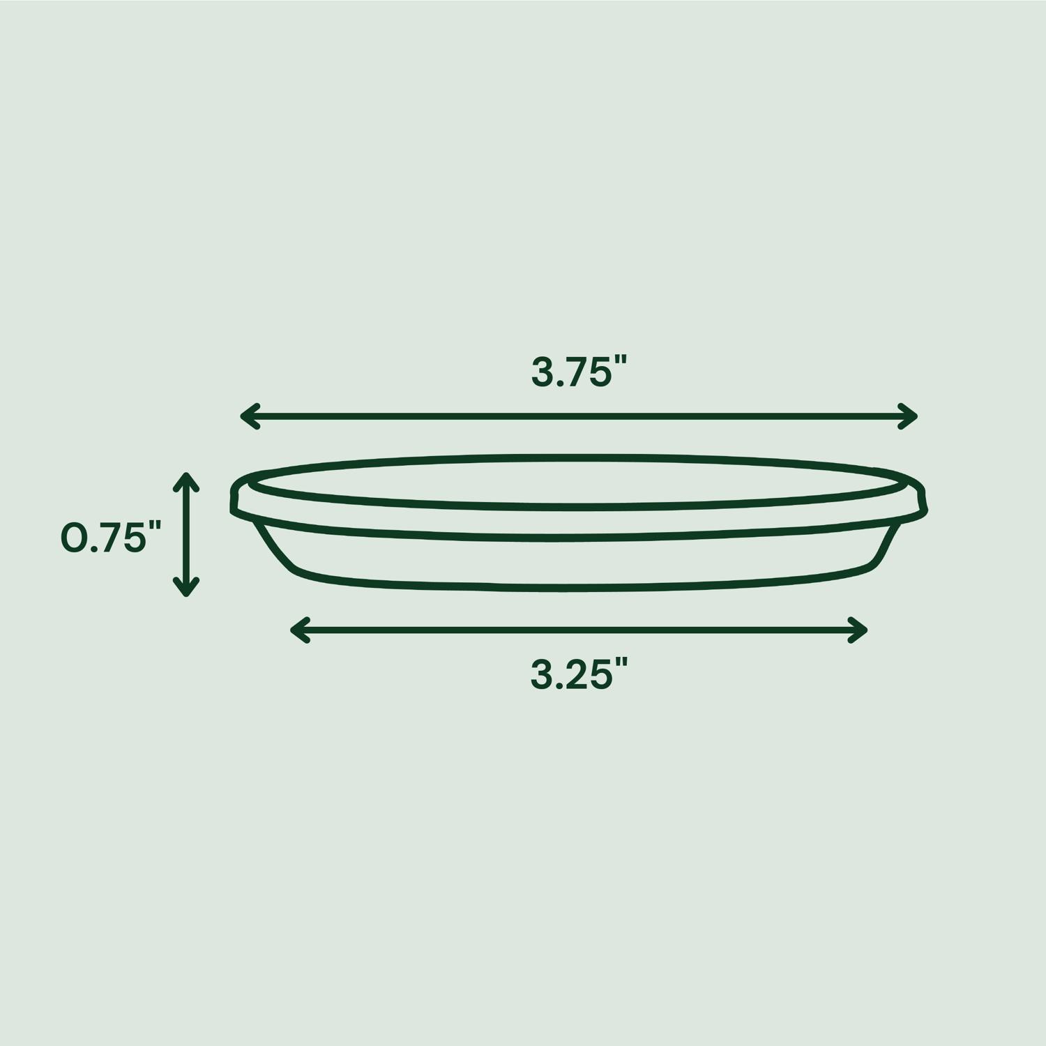 Bloem Terra 0.7 in. H X 3.75 in. D Resin Traditional Plant Saucer Terra Cotta