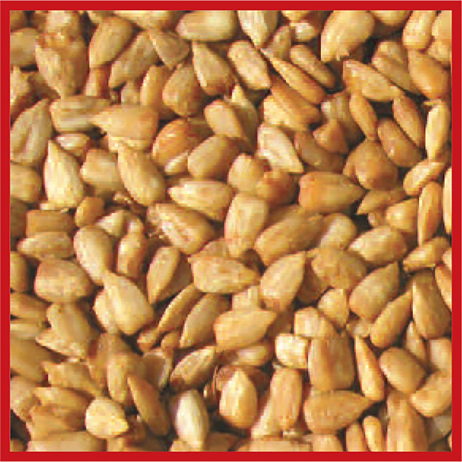 Cole's Hot Meats Wild Bird Food 5 lb