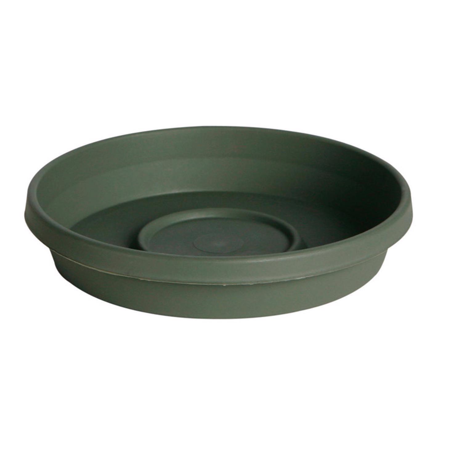 Bloem Terra 1.5 in. H X 7.5 in. W X 6.5 in. D Resin Traditional Plant Saucer Living Green