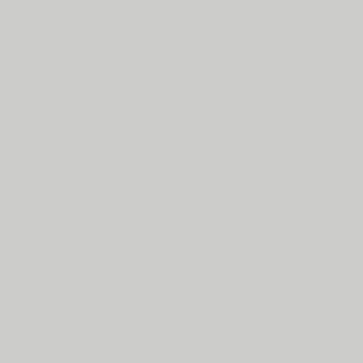 Rust-Oleum Stops Rust Matte Cold Gray Galvanizing Compound Spray 20 oz