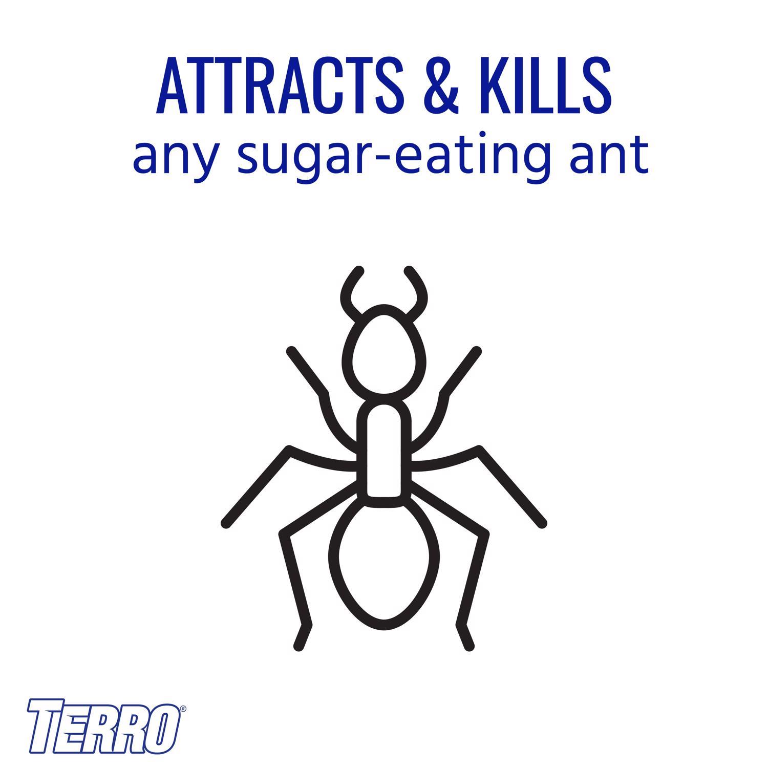TERRO Ant Bait 4 pk