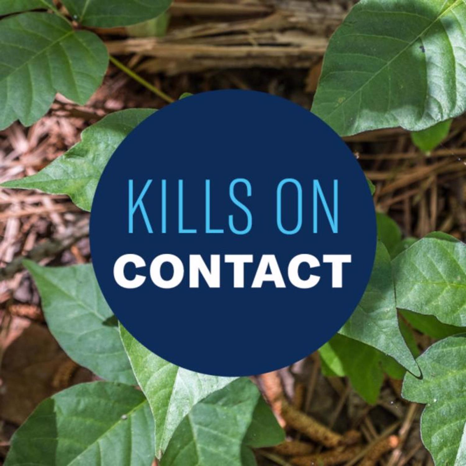 BioAdvanced Brush Killer Concentrate 32 oz