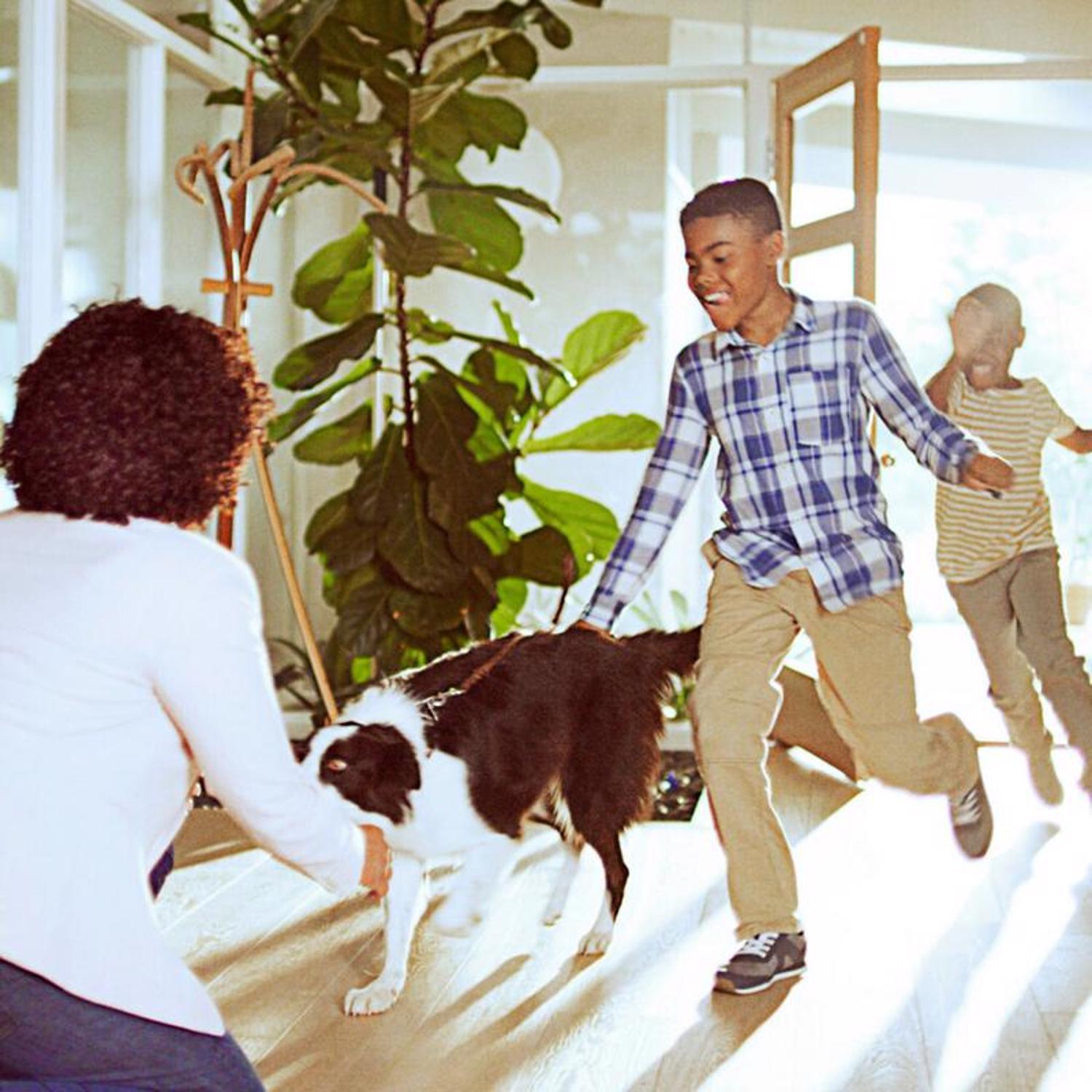 Filtrete 24 in. W X 18 in. H X 1 in. D Polyester 11 MERV Pleated Allergen Air Filter 1 pk