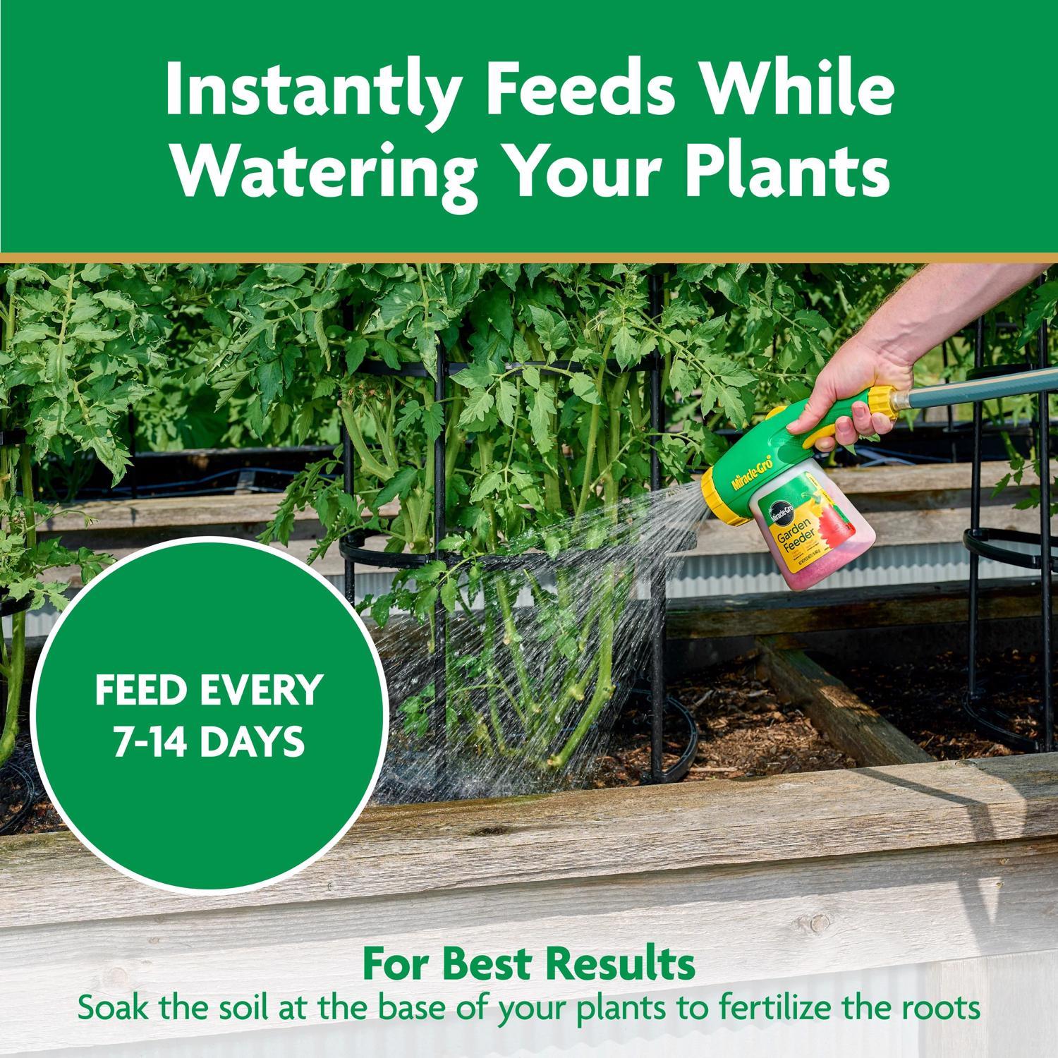 Miracle-Gro Granules Plant Food 2 lb