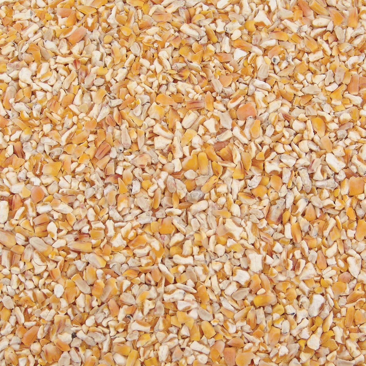 Ace Cracked Corn 10 lb