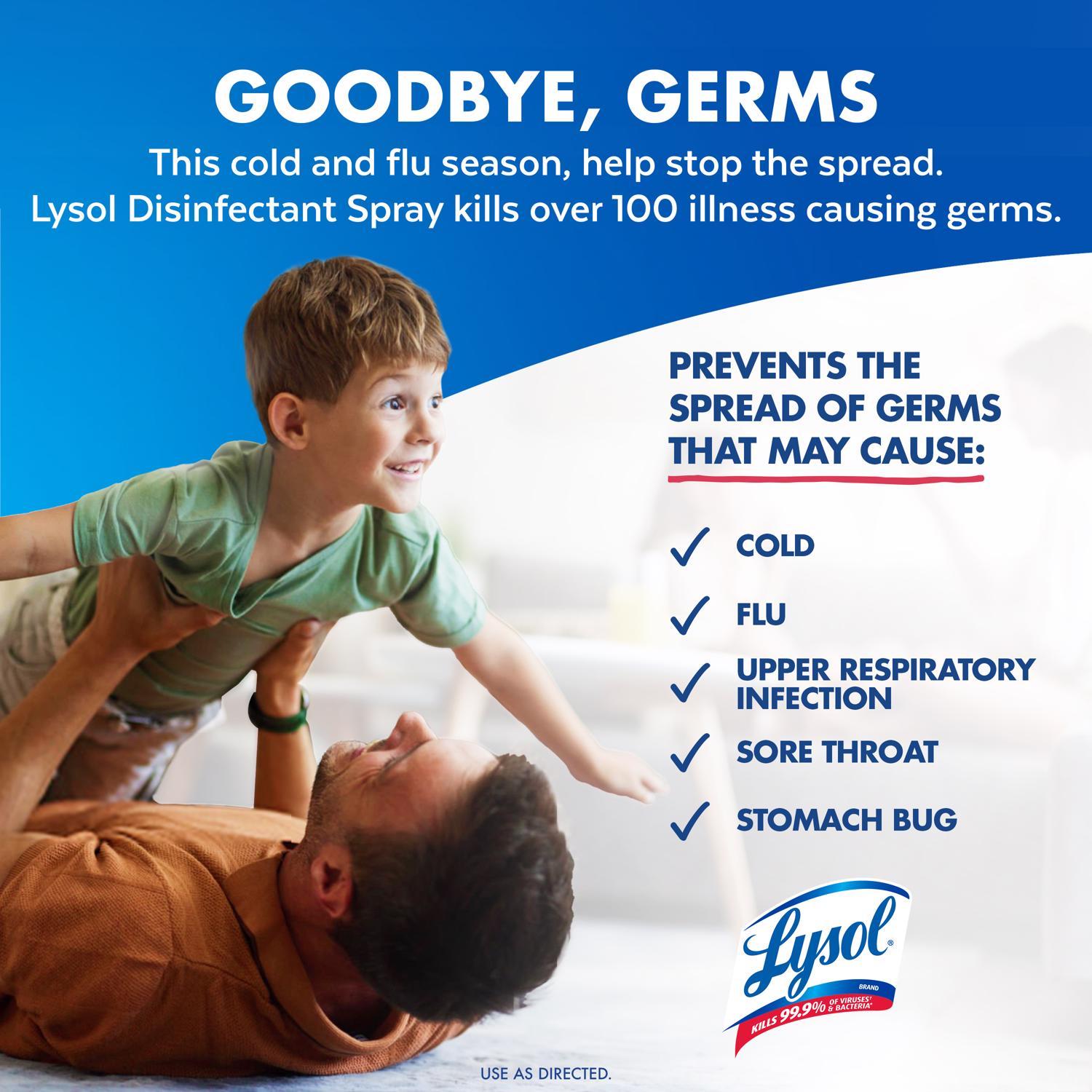 Lysol Early Morning Breeze Scent Disinfectant Spray 12.5 oz 1 pk