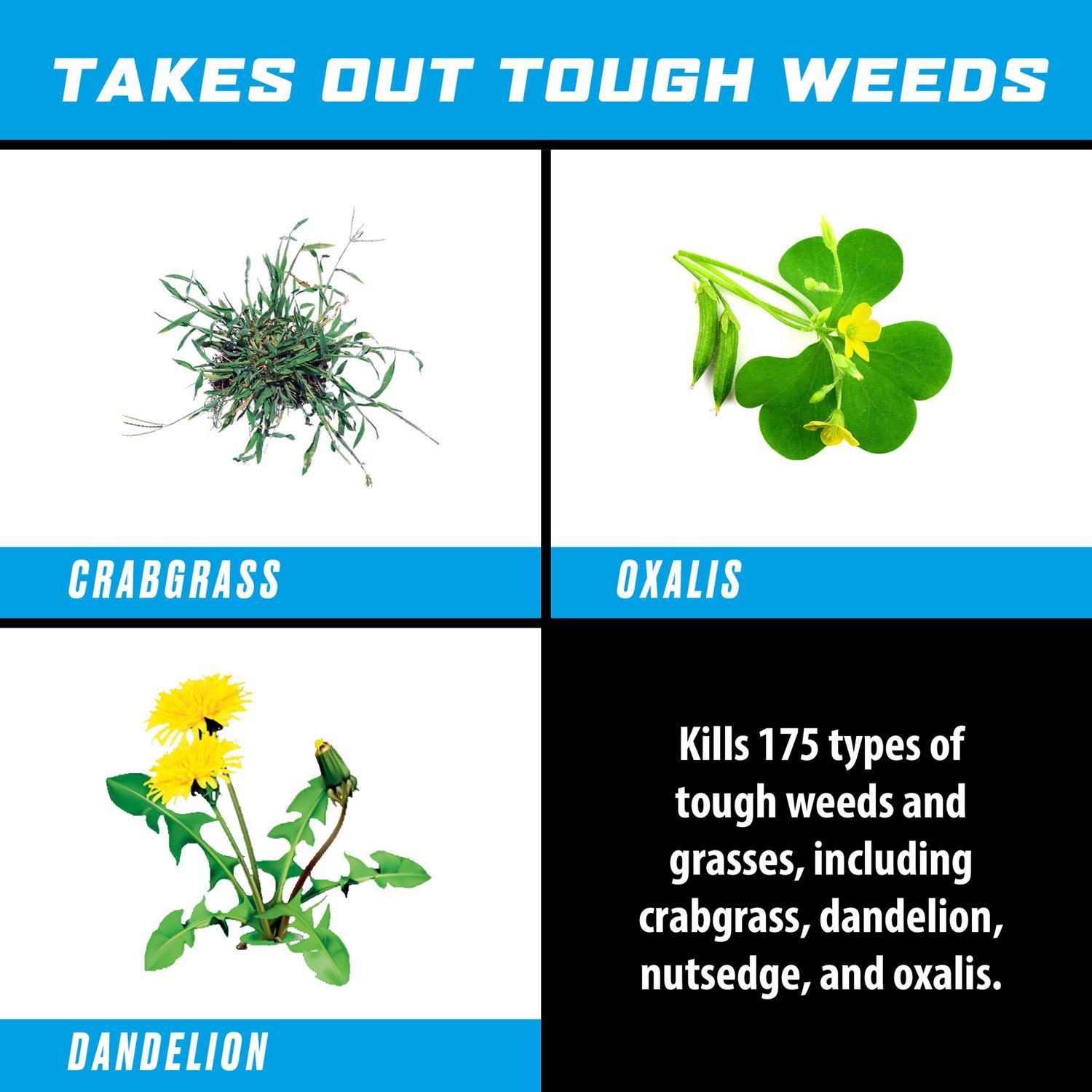 Ortho GroundClear Weed and Grass Killer RTU Liquid 1 gal