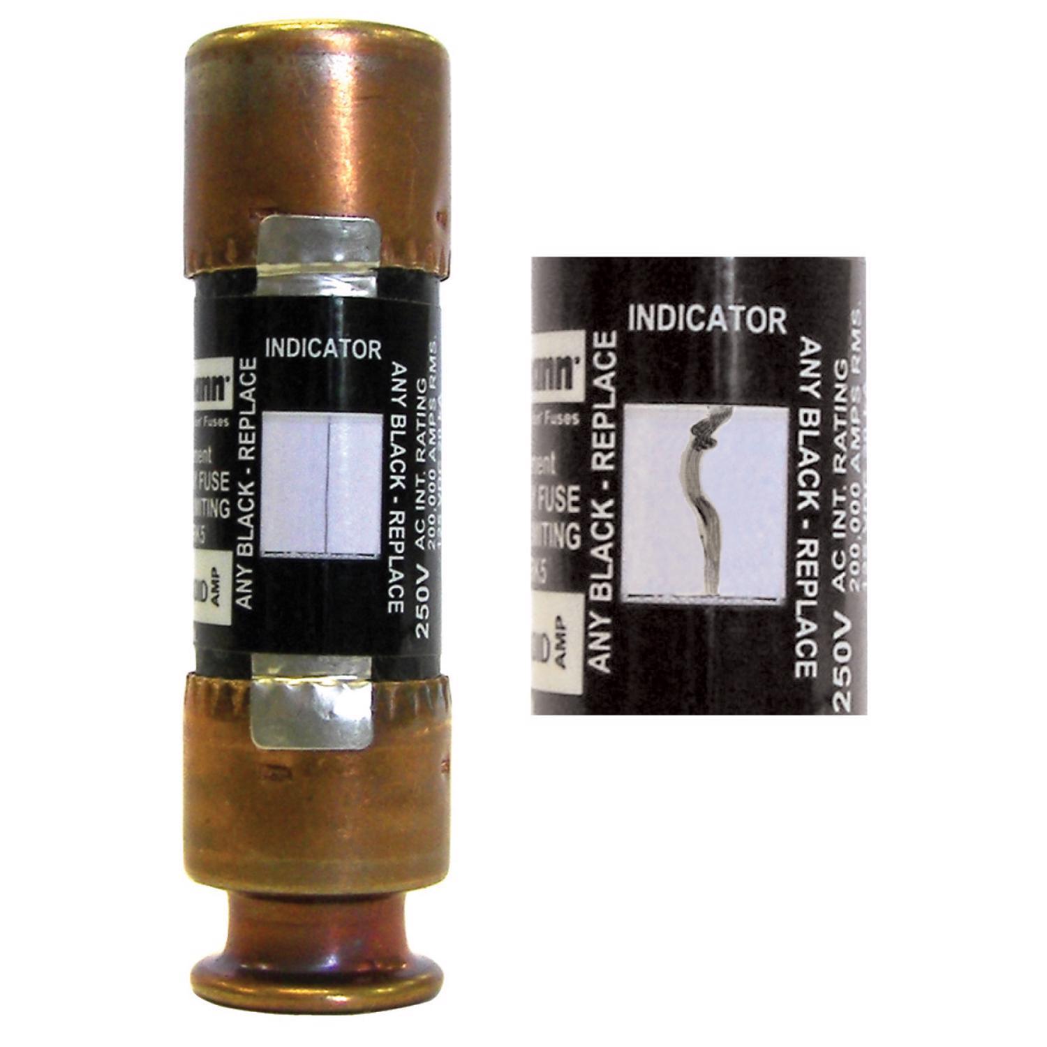Bussmann EasyID 40 amps Dual Element Time Delay Fuse 2 pk