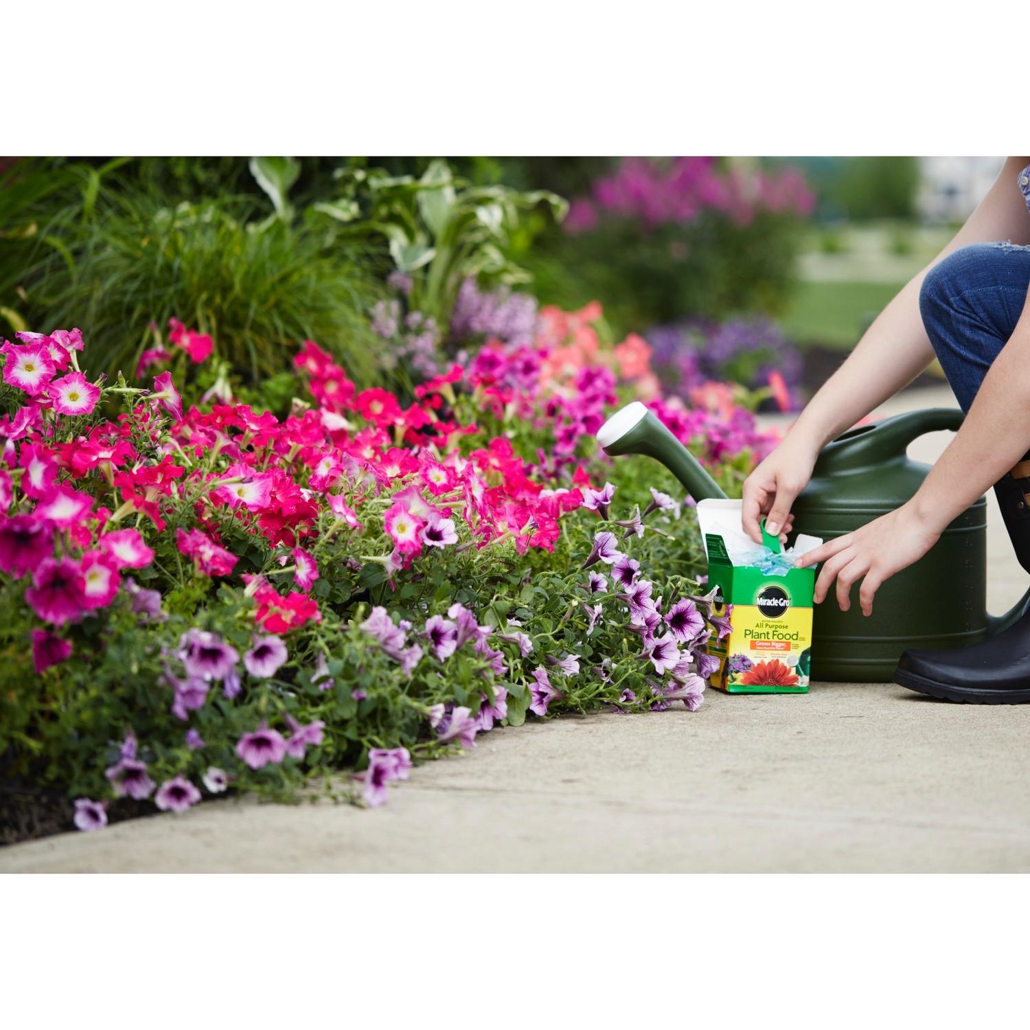 Miracle-Gro Powder Plant Food 4 lb
