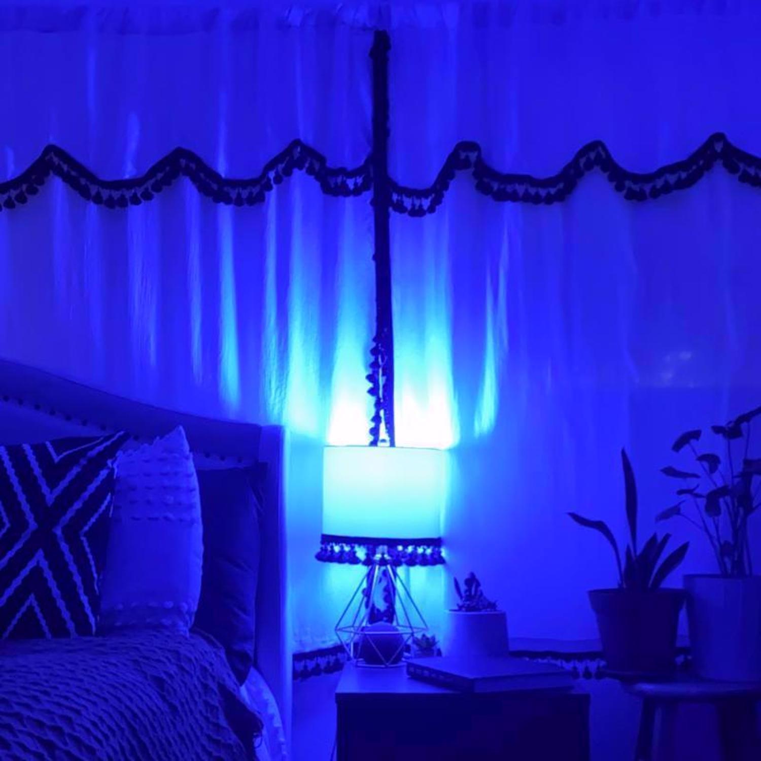Feit A19 E26 (Medium) Filament LED Bulb Blue 30 Watt Equivalence 1 pk