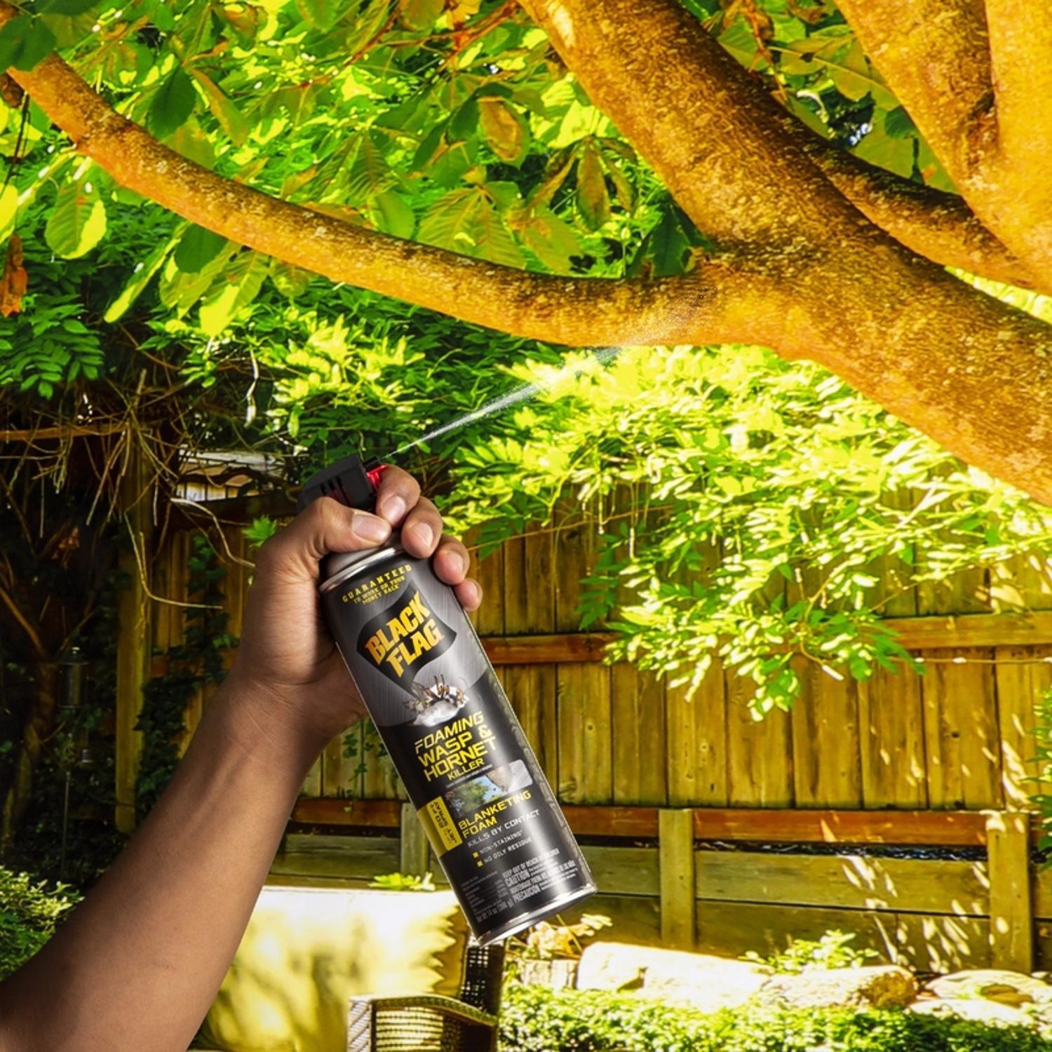 Black Flag Wasp And Hornet Killer Foam 14 Oz