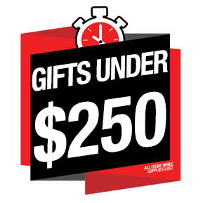 Gifts Under $250